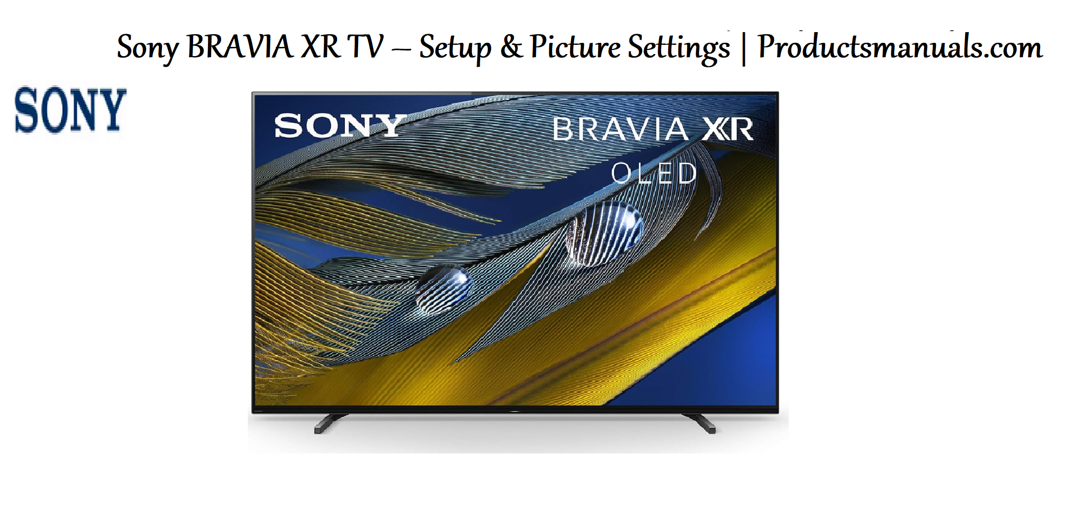 Sony BRAVIA XR TV – Setup & Picture Settings | Productsmanuals.com